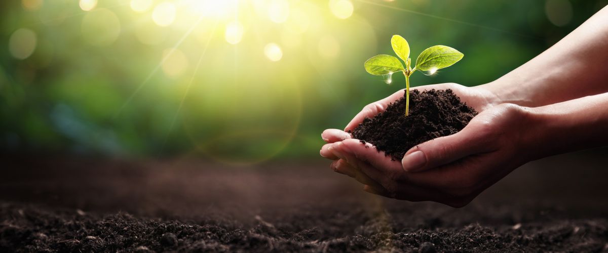 Haydock sustainability