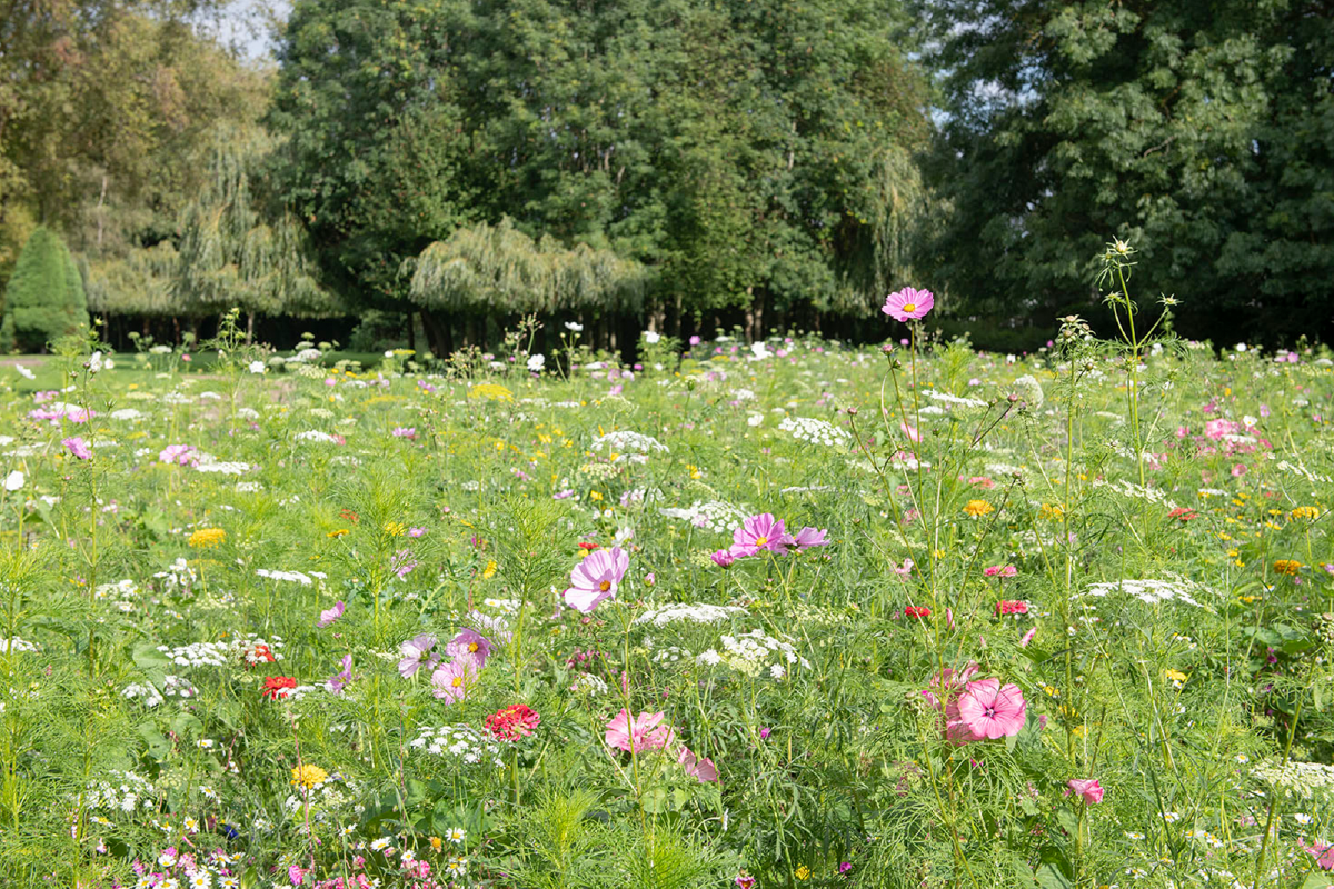 Sustainable events in Haydock.